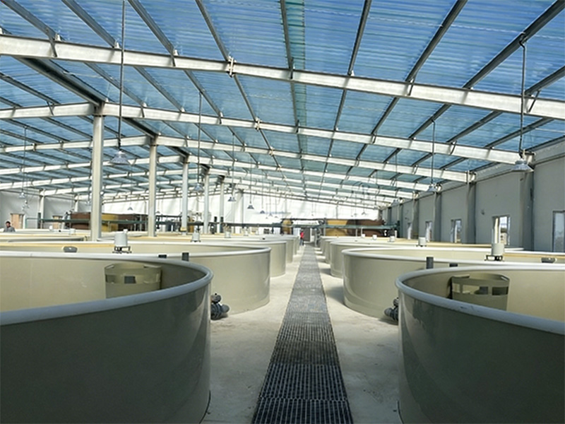 锦州市科学技术研究院海水鱼苗基地改造工程